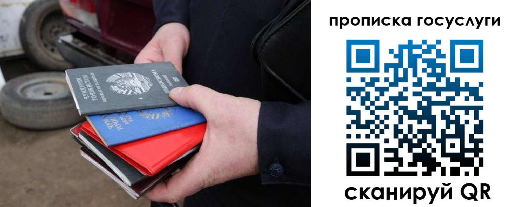 где прописаться в Коле